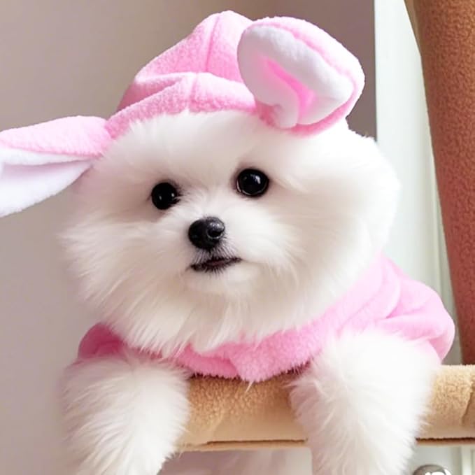 ANIAC Bunny Ears Cat Costume Plush Dog Hoodies with Pocket Sweater Cute Kitten Cat Clothes Warm Rabbit Ears Outfit with Hood for Small Dog Cat and Puppy (Pink-2, Large)