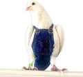 Bev's Bird Boutique Regular Flyper Adjustable Bird Diaper | Reusable, Washable Cloth | Comfort Fit for Parrot, Cockatiels, & Other Small Birds | Fashionable Avian Accessories, Dungaree Jeans, Size 9.5