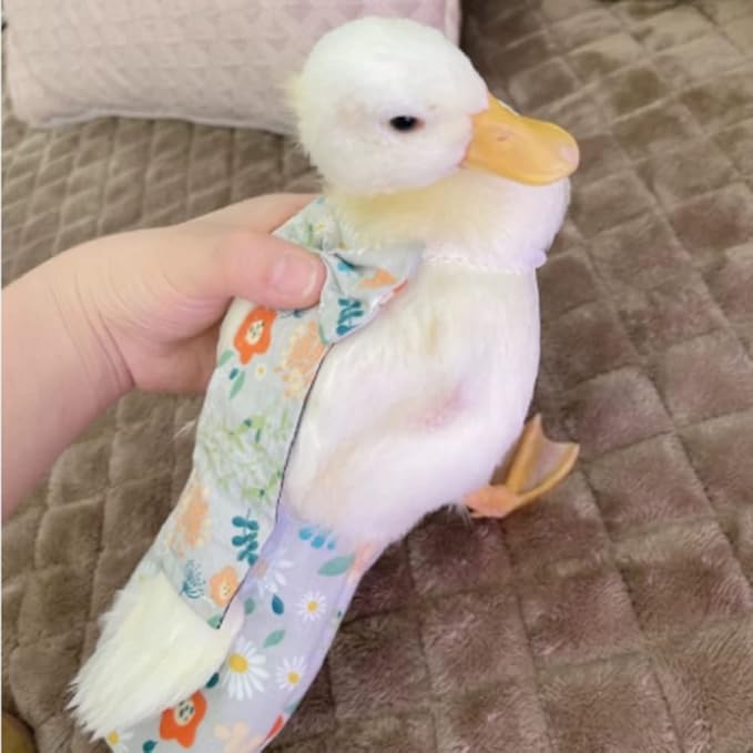 Duck & Chicken Poultry Diapers - Waterproof, Adjustable, Washable & Reusable (350g-450g)