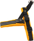 ComfortFlex Sport Dog Harness – No-Choke, Fully Padded, Non-Chafing Harness with Control Handle – Reflective, Lightweight, Adjustable for Active Dogs - XXSmall, Saffron Yellow