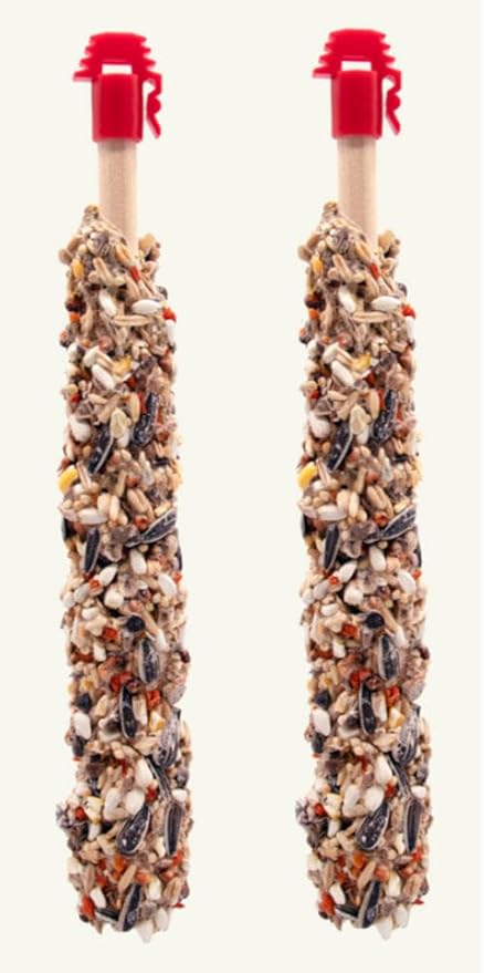 Higgins Sunburst Gourmet Avian Treat Sticks for Conures & Cockatiels. Nuts & Raisins 2pk. 4.9oz