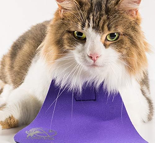 Bird Saving Cat Collar, Prevent Cats from Catching & Killing Birds, Anti Hunting Colorful Bib to Save Birds & Other Wildlife (Large, Purple)