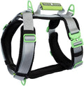 Ultimate Urban Premium Dog Harness - No Choke/Pull/Escape Dog Harness with Adjustable Padding, Heavy Duty, Easy On/Off, High Strength Buckles, Emergency Handle and 3 Connect Points (Silver, XXL)