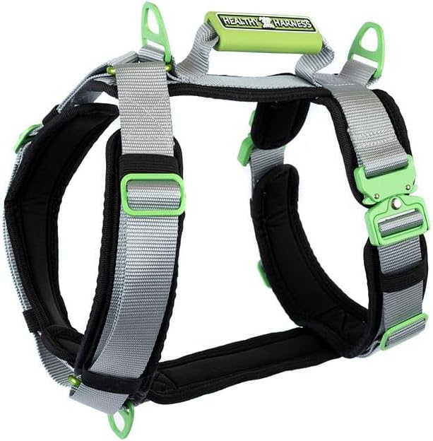 Ultimate Urban Premium Dog Harness - No Choke/Pull/Escape Dog Harness with Adjustable Padding, Heavy Duty, Easy On/Off, High Strength Buckles, Emergency Handle and 3 Connect Points (Silver, S)