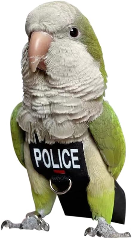 Bird Clothes Parrot Diapers Bird Flight Suits, Reusable Waterproof Diapers pet Bird Supplies (3XL)