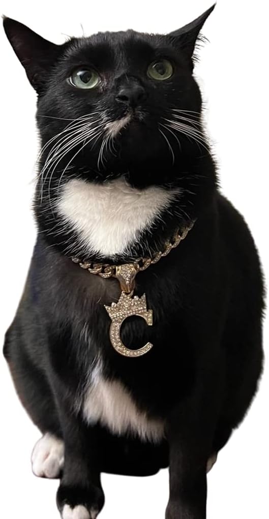 Initial Letter Cuban Chain Dog Chain Pet Chain Pet, Cat, Puppy Necklace (I, 26")