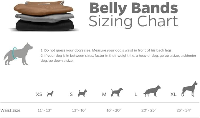 Pet Parents® Washable Belly Bands for Male Dogs (3pack) + Extendrs® of Durable Dog Diapers Male, Premium Male Dog Diapers & Dog Wraps (Large, Natural)