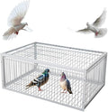 Pigeon Trap Cage with Escape-Proof Design Chicken Trap Bird Cage with One Way Entrance for Sparrows Quails Bird Chick and Duckling (15.75”L x 11.8” W x 10.24” H)