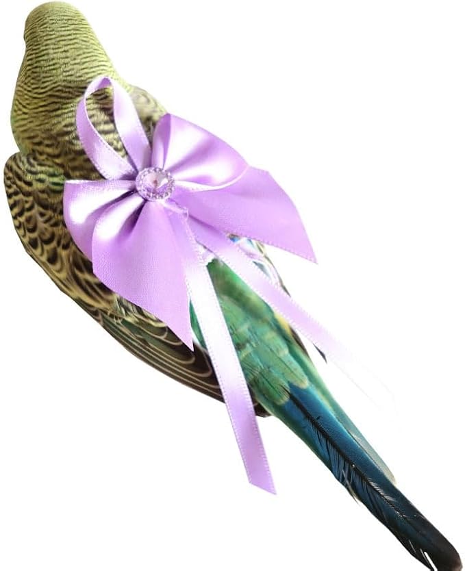 6pcs Bow Bird Diaper Set, Soft Reusable Flight Suit Clothing for Parrots Budgies Cockatiels — Cleaner Indoor Bonding & Training(S)