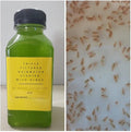 Starter Booster Pack 100+ Water Daphnia and 4 Triple Filtered Rainwater Starter