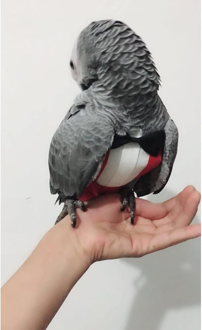 Bird Flight Suits Diapers, Parrot Flight Suits Diapers for Monk Parakeets, Cockatiels Flight Suits, Parrot Clothes, Bird Training Nappy Suit Liners Clothes (X-Large,Red)
