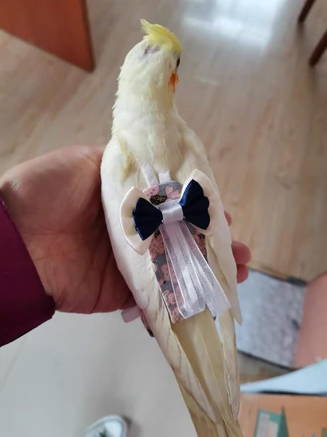 Bird Flight Suits Diapers for Monk Parakeets, Cockatiels, Parrot Clothes, Training Nappy Suit Liners (Small, Navy)