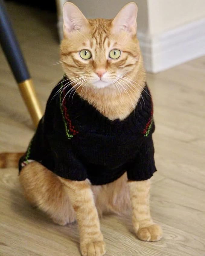 Cat Sweater Christmas Santa Claus Pet Cat Winter Knitwear Warm Clothes X-Small