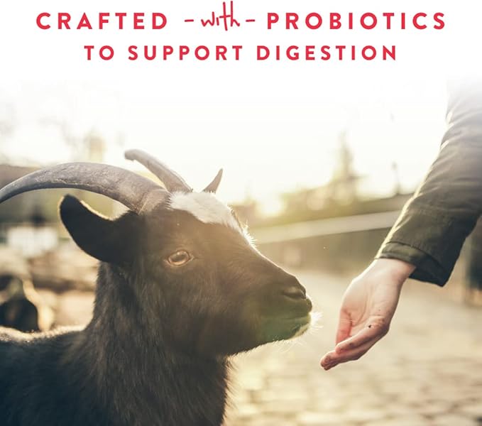 Manna Pro Apple Probiotic Goat Treat, Daily Goat Treats, Treat for Goats and Sheep, Easy to Feed, Enriched with Vitamins, Minerals and Essential Probiotics, Pack of 6, 30lbs