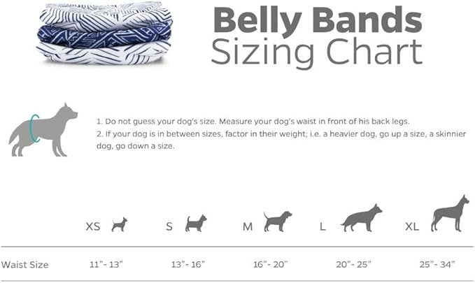 Pet Parents® Washable Belly Bands for Male Dogs (3pack) + Extendrs® of Durable Dog Diapers Male, Premium Male Dog Diapers & Dog Wraps (Large, Kahuna)