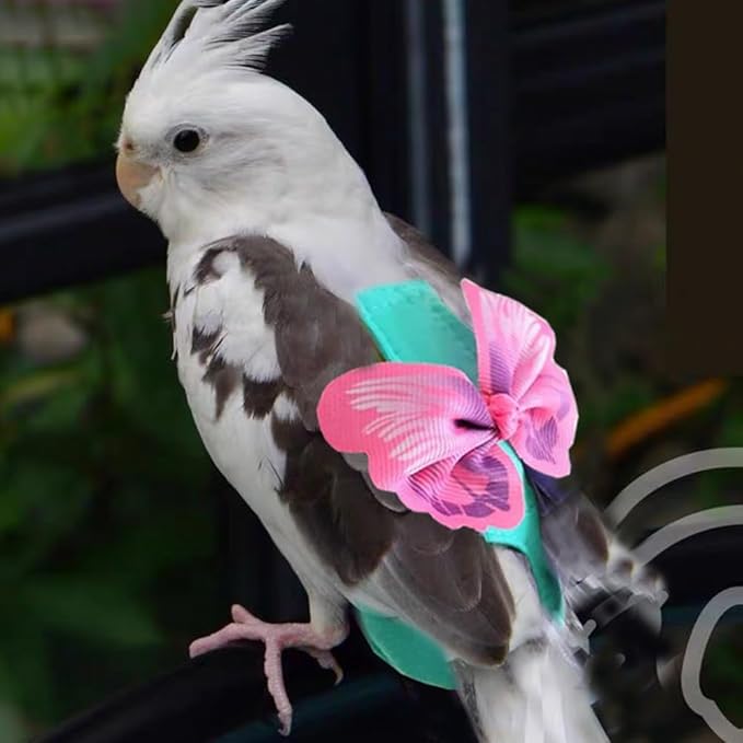 Escape-Proof Parrot Harness & Leash Set with Diaper - Adjustable Flight Suit with Bow & Safety Cord for Conures, African Grey, Parakeets, Doves (Pink-S)