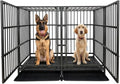 54 inch Heavy Duty Indestructible and Escape-Proof Dog Crate Cage Kennel with Divider for 2 Large Dogs, High Anxiety Dog Crate with Removable Wires Trays and Wheels, Extra Large XL XXL