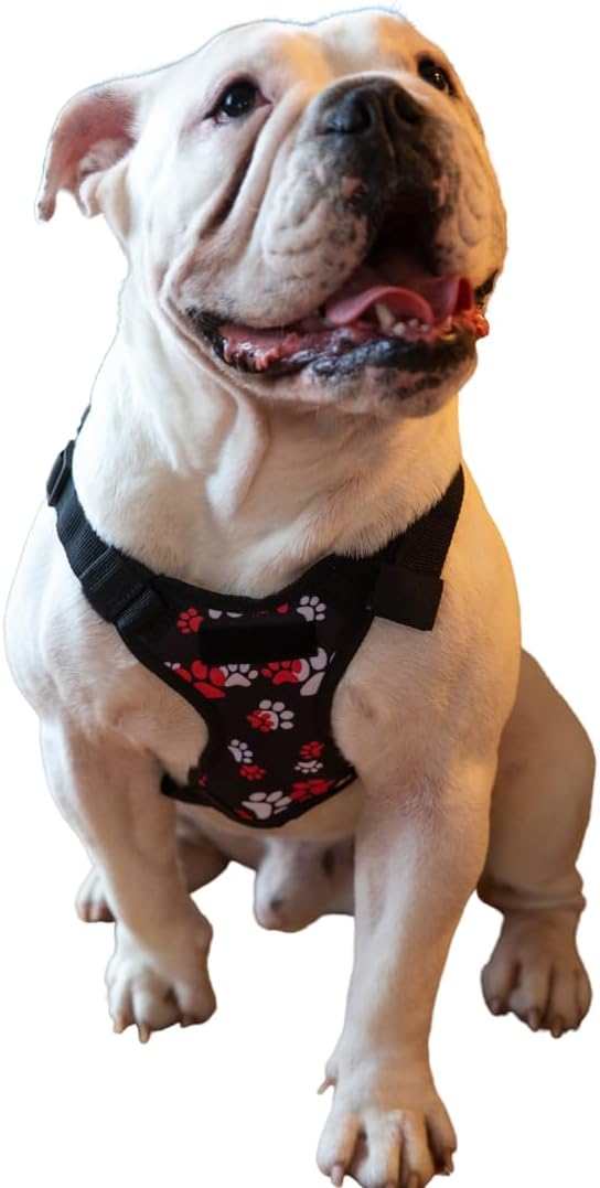 Pawlook Dog Backpack Harness – Street Smart | Waterproof, Adjustable, Breathable – Leash Attachment D-Rings, Poop Bag Pocket – Small & Medium Dogs – 8 Styles Paws Up Medium