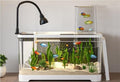 4 Gallon Fish Tank, Small Tabletop Fish Tank, Aquarium with Negative Pressure Tank, Fish Aquarium with Spotlight and Water Pump, Betta Fish Tank Starter Set(White,12.0x7.7x12.3in)