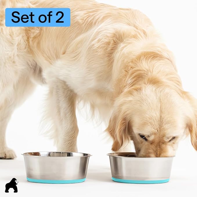 GORILLA GRIP Set of 2 Dog Bowls, Holds 6 Cups (48 fl oz), Heavy Duty Metal Food and Water Bowl for Feeding Dogs and Cats, Dishwasher Safe Rust Resistant Stainless Steel, BPA Free Rubber Base Turquoise
