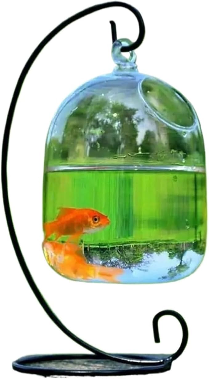 Transparent Hanging Glass Aquarium Fish Tank Bowl - Stylish Round/Rectangle Shape with Rack Holder for Home Decoration(White-01)