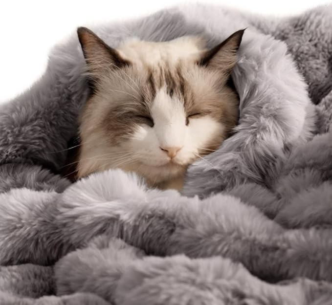 Self-Warming Cat Blanket for Indoor Cats & Small Dogs, Dual-Side Sherpa Plush Throw, Anti-Static Shared Couch Mat for Crate & Travel, Machine Washable No Shrink, 28x22 Inch Gray