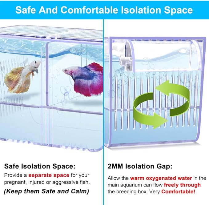 Fish Breeding Box Aquarium Holding Tank Transparent Fish Isolation Box Acclimation Hatchery Incubator Breeder for Betta Shrimp Clownfish Guppy Small