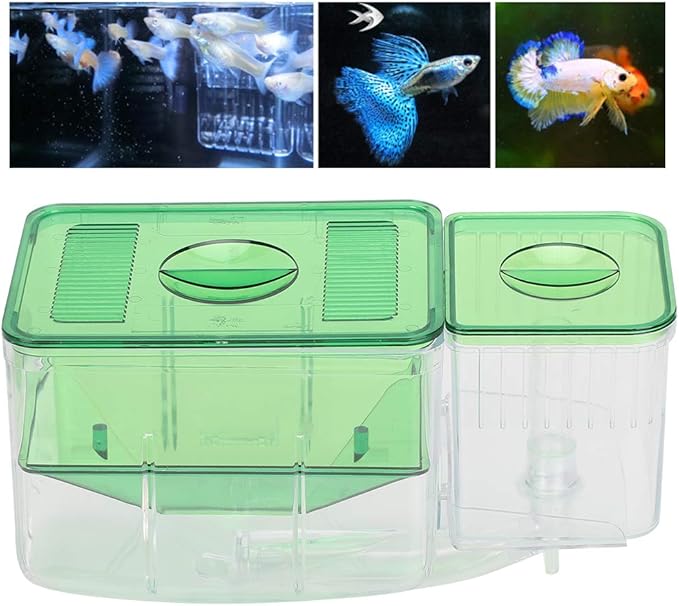 Fish Breeding Box, Transparent Aquarium Little Fish Breeding Hatching Box, Fish Tanks Double Layer Isolation Box Hatchery Incubator for Injured Small Fish Shrimp
