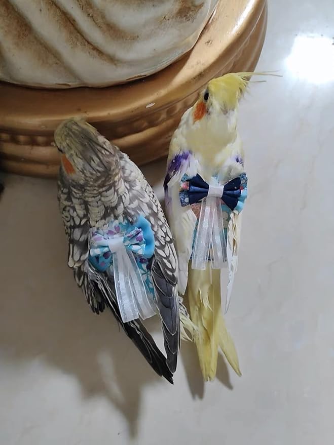 Bird Flight Suits Diapers, Parrot Diapers for Monk Parakeets, Cockatiels, Parrot Clothes Costume, Bird Training Nappy Suit Liners Clothes (Large,Blue-A)