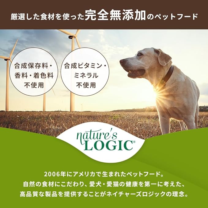NATURE'S LOGIC Dry Dog Food - 100% Natural - No Synthetics - for All Ages, Sizes, Breeds - Free from Common Allergens, High Protein - Pork Meal Feast, 4.4lbs