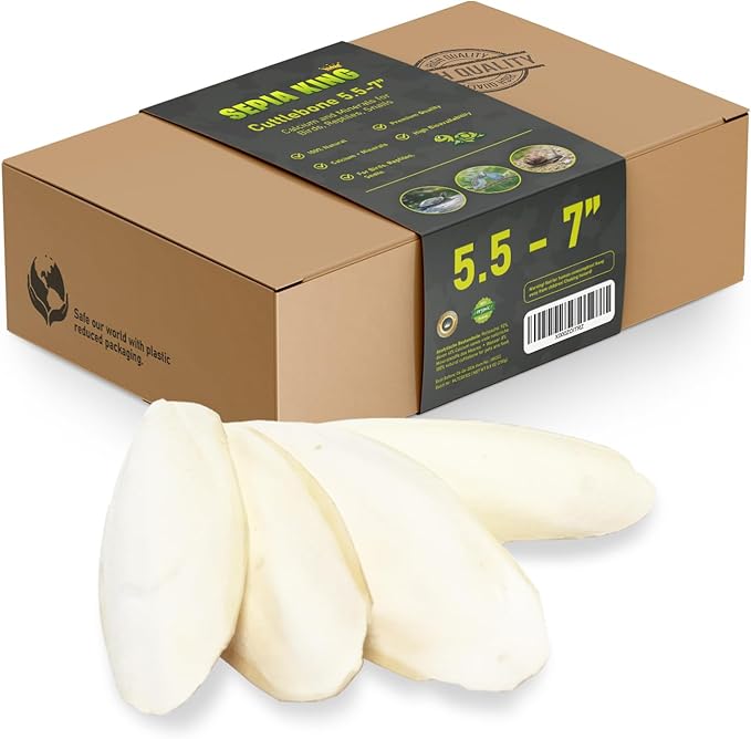 Large - 100% Natural Calcium Supplement - Premium Cuttlebone perfect for Birds, Tortoises, Snails, Reptiles - 5.5 to 7 inch