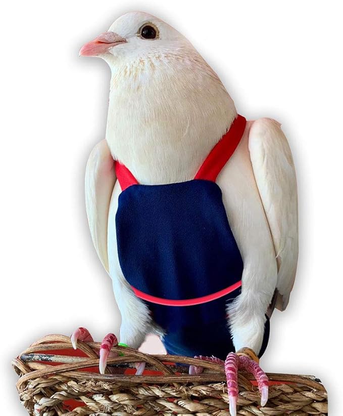 Bev's Bird Boutique Regular Flyper Adjustable Bird Diaper | Reusable, Washable Cloth | Comfort Fit for Parrot, Cockatiels, & Other Small Birds | Fashionable Avian Accessories, Navy & Red, Size 5