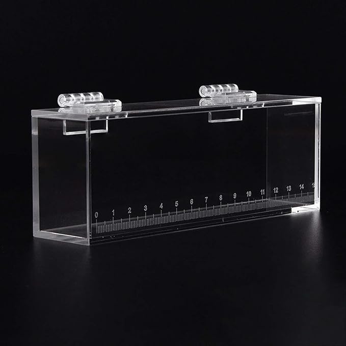 MagiDeal Fish Viewing Box, Fishing Hatching Incubator Acrylic Fish Egg Breeding Case Aquarium Fish Tank Isolation Box Isolation Breeder Box, S