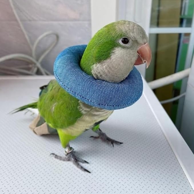 Parrot Neck Collar Pet Anti-bite Picking Feather Healing Protective Neck Cover Collar for Birds Conures Cockatiels Lovebirds Budgies Cockatoos African Grey Random Color (XL)