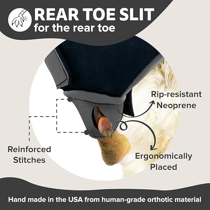 Chicken Shoes for Injured Feet – Protective Neoprene Footwear for Chicken, Open-Toe Design for Bumblefoot Relief, Made in USA (Chicken Shoes, Gray, Medium Chickens)