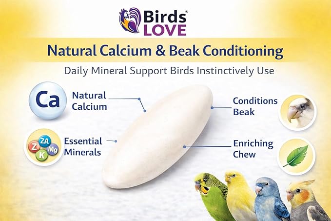 Birds LOVE 3.5-4″ Cuttlebones for Birds – 100% Natural Sun-Dried Calcium & Beak Conditioning Supplement for Parakeets, Budgies, Cockatiels, Finches & Canaries – 4 Pack with Holder – Made in Vietnam
