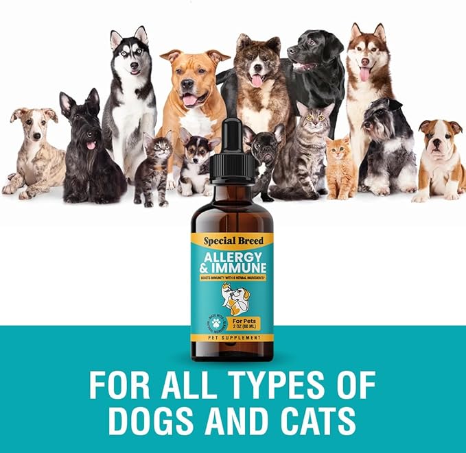 Special Breed Allergy & Immune with Elderberry, Allergy Relief for Cats and Dogs, Anti Itch Treatment, Relief for Pet Allergies, Immune Support for Cat or Dog, 2 oz