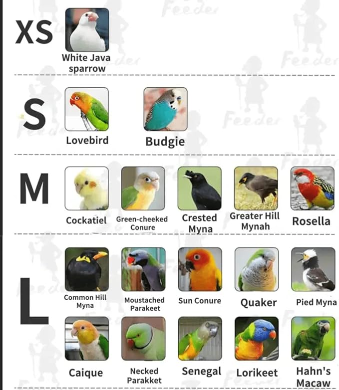 Bird Flight Suits Diapers, Parrot Flight Suits Diapers for Monk Parakeets, Cockatiels Flight Suits, Parrot Clothes, Bird Training Nappy Suit Liners Clothes (M, Red-B)