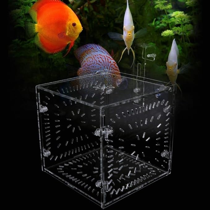 Fish Tank Breeding Box Acrylic Isolation Incubation, Adjustable Height, Transparent - Durable Material, Stable Attachment, Ideal for Aggressive and Sick Fish (15CM*15CM*15CM)