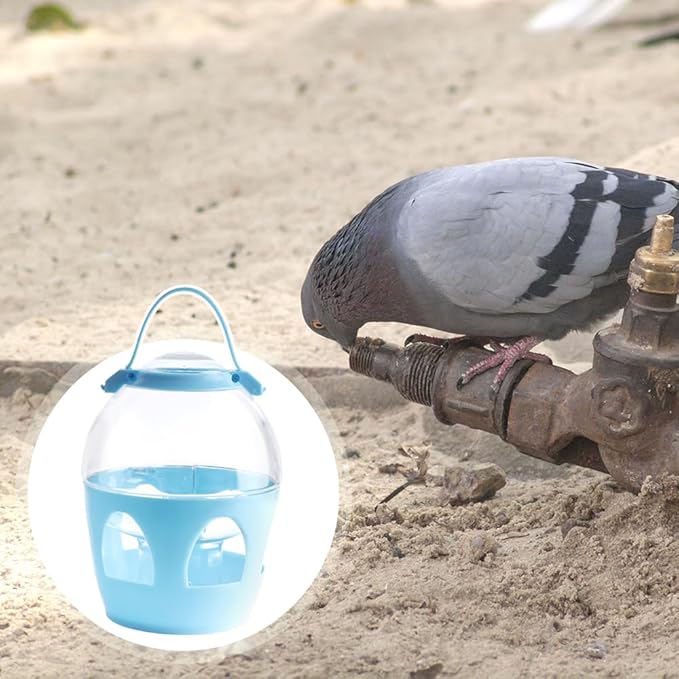 Pigeon Water Dispenser Feeder, 2L Water Pot Container with Handle for Pigeon Chicken Parrot Duck Poultry (Colors May Vary)