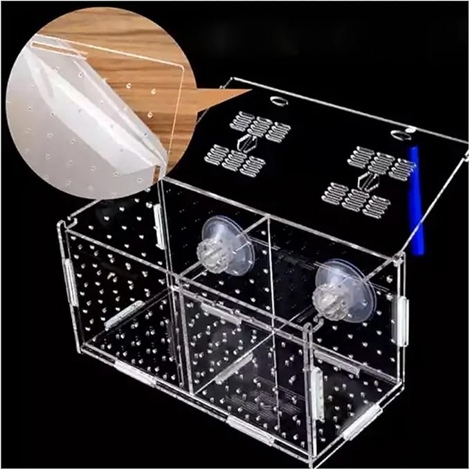 Transparent Acrylic Aquarium Isolation Box - Single & Double Grid Fry Breeding Tank for Fish Hatcheries(Hook)