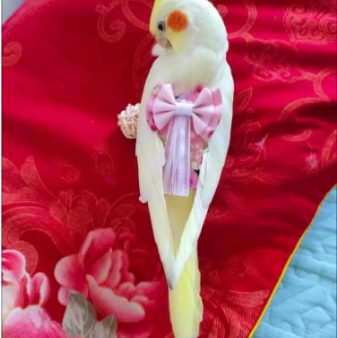 Bird Diaper Cockatiel Clothes Flight Suite, Reusable Parrot Nappy with Waterproof Inner Layer, Cute Pigeon Pants Urine Wet Suit Costume for Conure Macaw (Grey,Pigeon)
