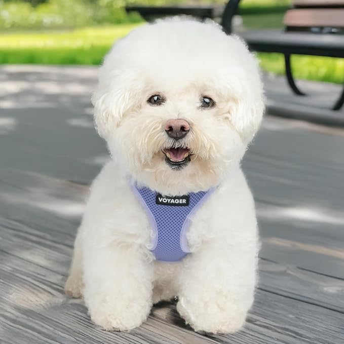 Best Pet Supplies Voyager Step-in Air Harness - All Weather Mesh, Reflective, No Pull Harness for Dogs, Cats - Secure with Hook & Loop Fastener, Buckle, Double D-Rings - Lavender, XL