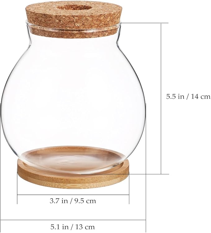 HANABASS Desktop Fish Bowl Hydroponic Terrarium Small Glass Betta Fish Tank with Wood Lid and Bamboo Stand for Home Office Decoration