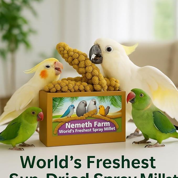 Nemeth Farms–Natural Sun Dried Millet Spray for Pet Birds–Bulk Parrot Seed Treats and Parrot Food–Natural Non GMO Millet Spray–Cockatiels Lovebirds Parakeet 2 lbs.