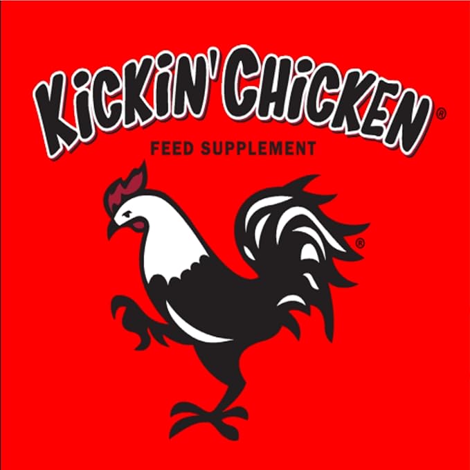 HealthyCoat Kickin’ Chicken Feed Supplement - Pint – All-Natural Omega 3 & 6 Liquid for Poultry – Supports Plumage, Molting Recovery, Egg Production, Skin Health & Immune System – Fortified w/Biotin