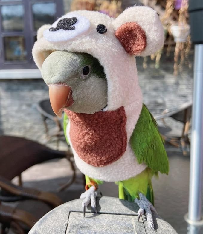 Bird Costume Bird Diaper Flight Suit Bird Bear Shape Bird Clothes Cosplay Photo Prop for Parrots Lovebird Parakeet Cockatiel Small Animals Apparel (with Diaper,Eclectus)