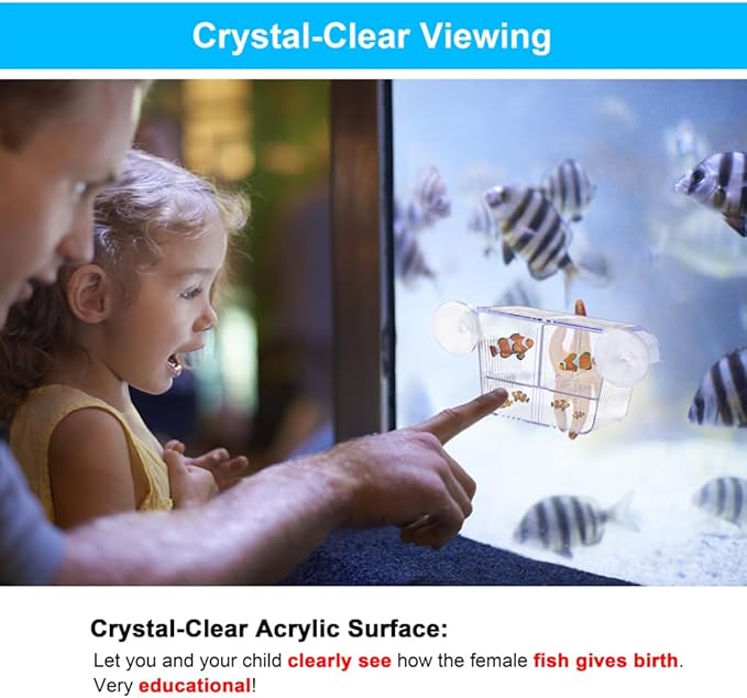Fish Breeding Box Aquarium Holding Tank Transparent Fish Isolation Box Acclimation Hatchery Incubator Breeder for Betta Shrimp Clownfish Guppy Small