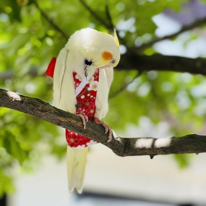 Bird Diaper Cockatiel Clothes Flight Suite, Reusable Parrot Nappy with Waterproof Inner Layer, Cute Pigeon Pants Urine Wet Suit Costume for Conure Macaw (Grey,2M)
