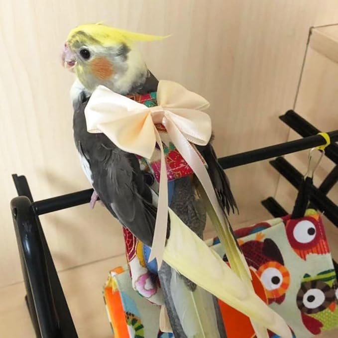 Bird Flight Suits Diapers, Parrot Flight Suits Diapers for Quaker Parakeets Cockatiels Flight Suits, Parrot Clothes (Red,Macaw)